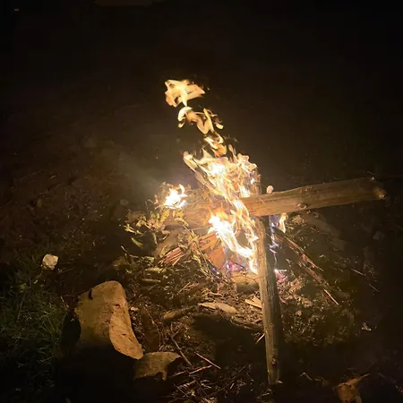 Na Skraju Lasu * Cisiec