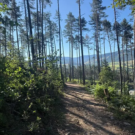 Na Skraju Lasu Casa vacanze Cisiec