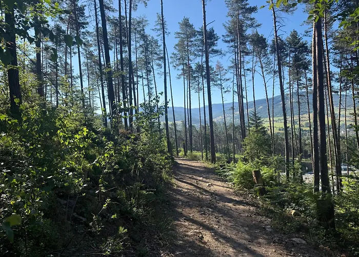 Na Skraju Lasu בית נופש Cisiec